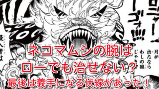 One Pieceネタバレ991話最新話確定速報 ドレークの麦わら参戦でアプーが襲い掛かる Omoshiro漫画ファクトリー